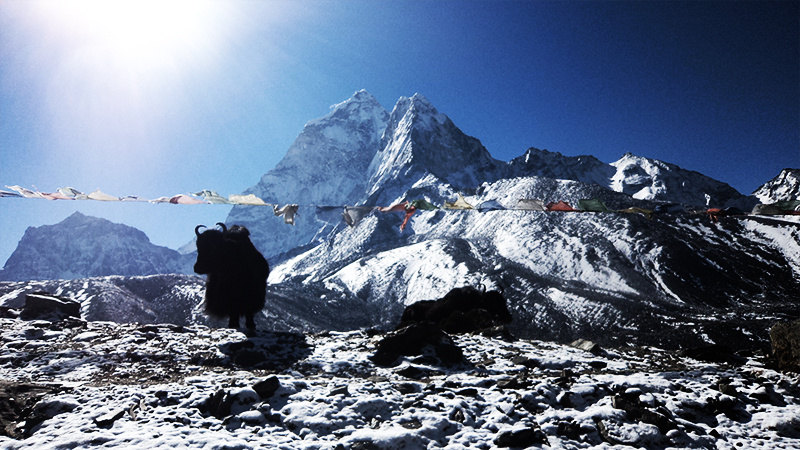 Classic Everest Trekking