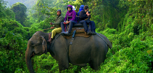 Chitwan Safari Tour