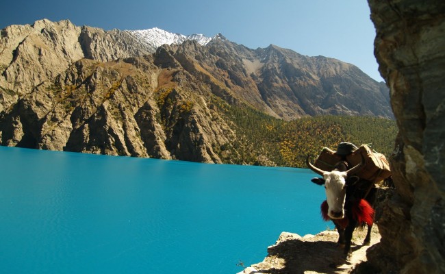 Upper Dolpo Trekking