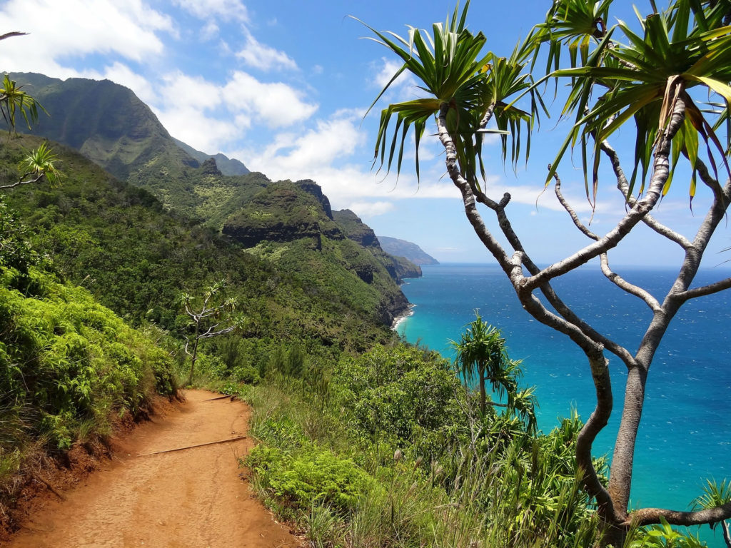 Madeira levadas